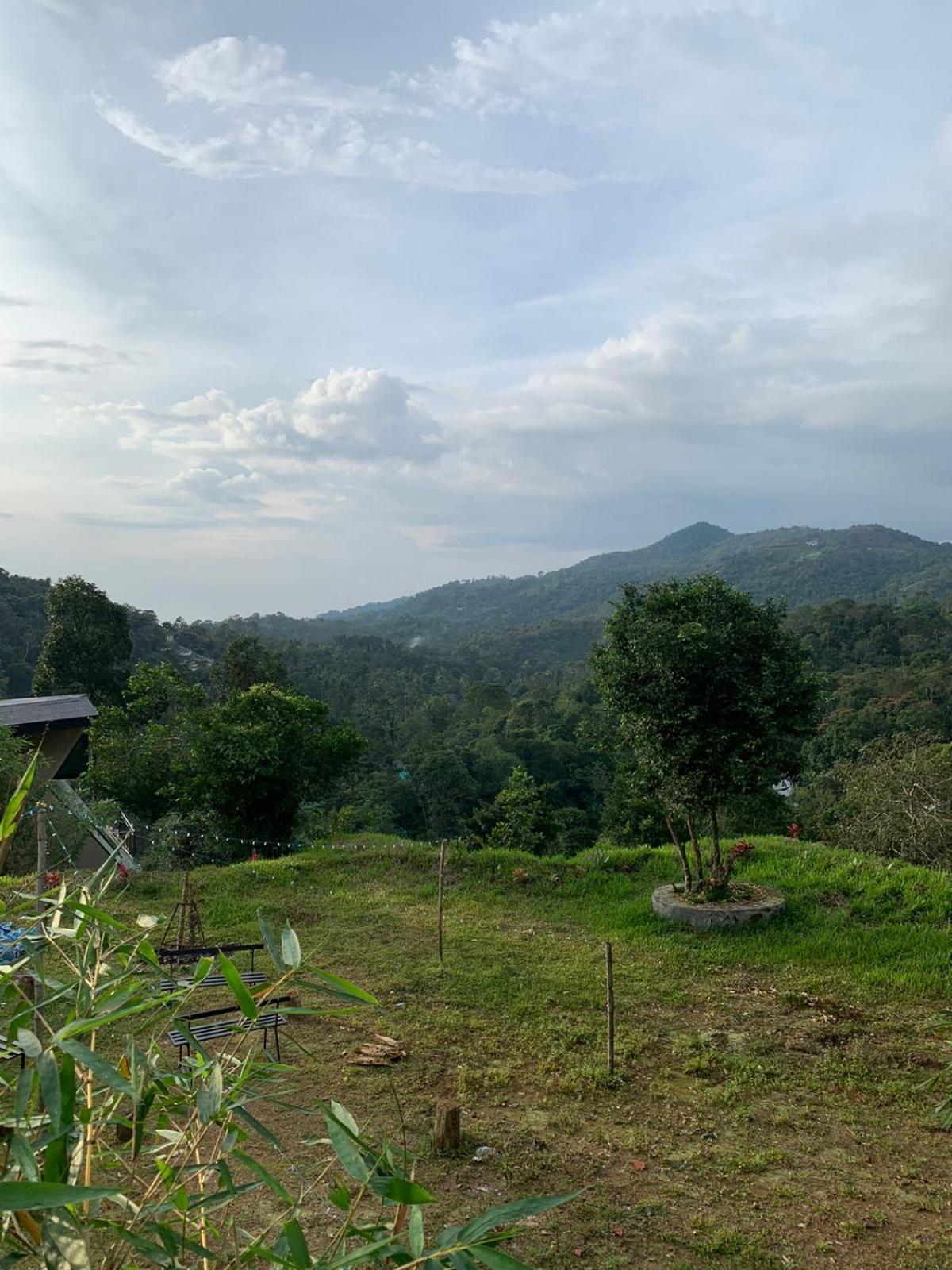 Bed and Breakfast Misty Hideout Kakkadampoyil Exterior foto